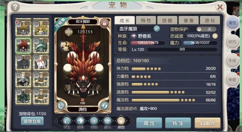 魔力宝贝宠物怎么抓