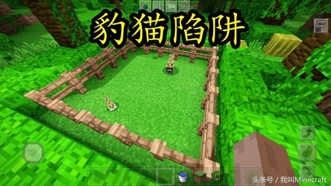 我的世界豹子怎么驯服[图1]